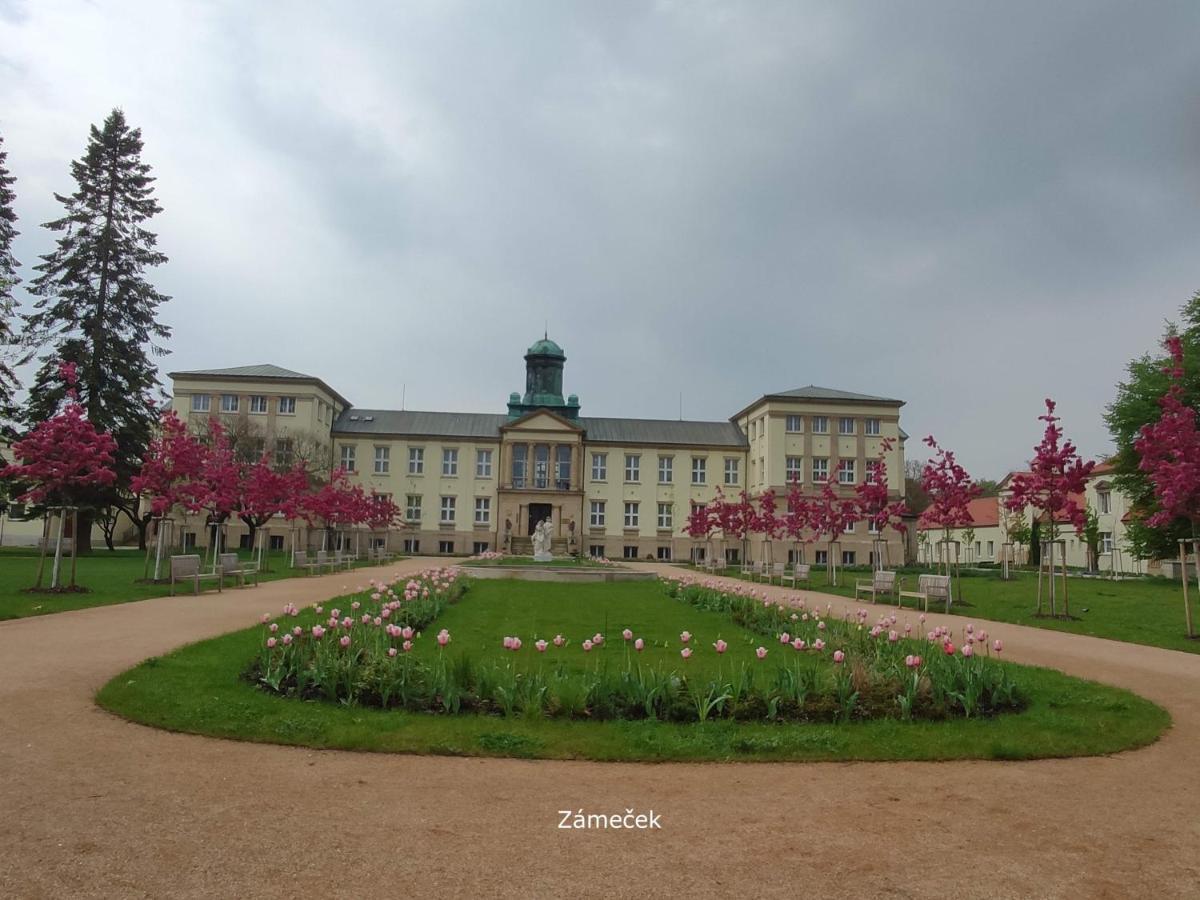Homestay Poděbrady Kültér fotó