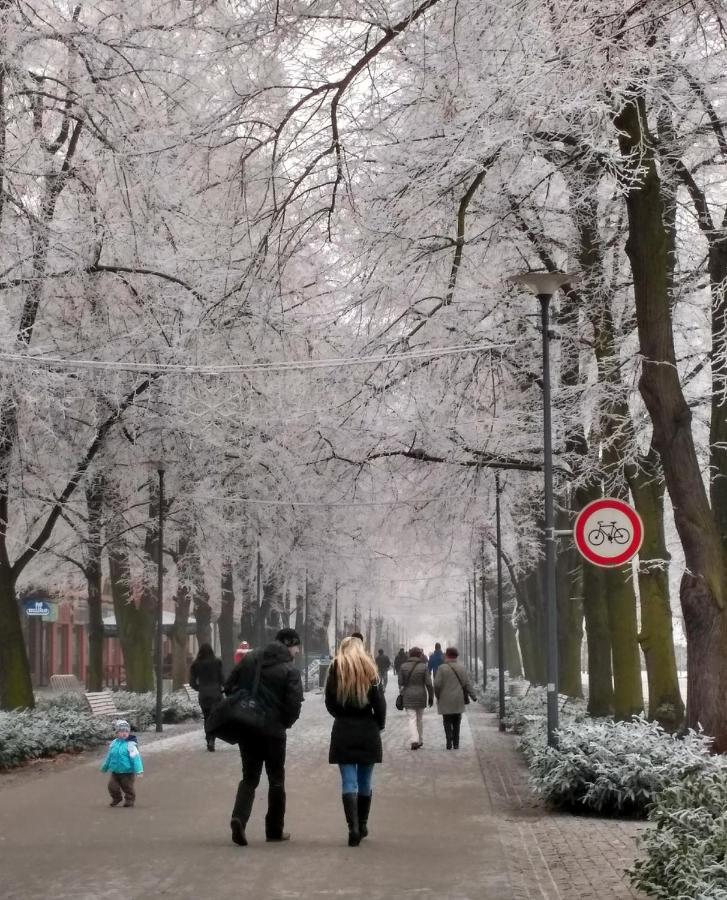 Homestay Poděbrady Kültér fotó