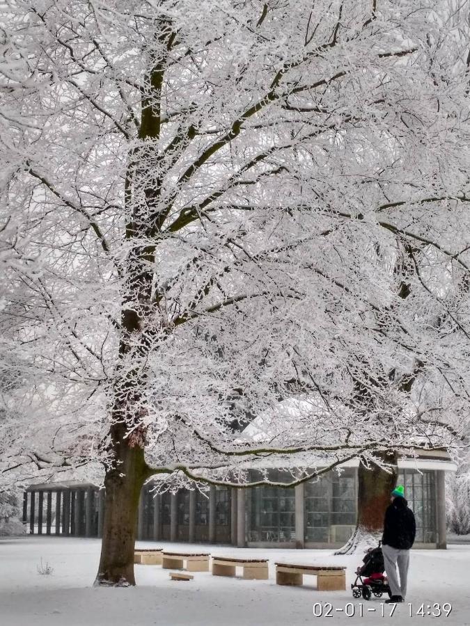 Homestay Poděbrady Kültér fotó
