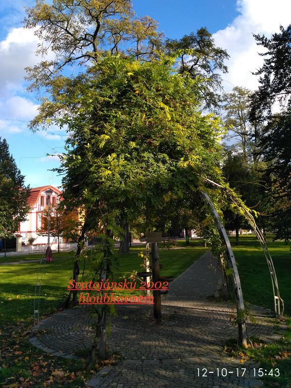 Homestay Poděbrady Kültér fotó